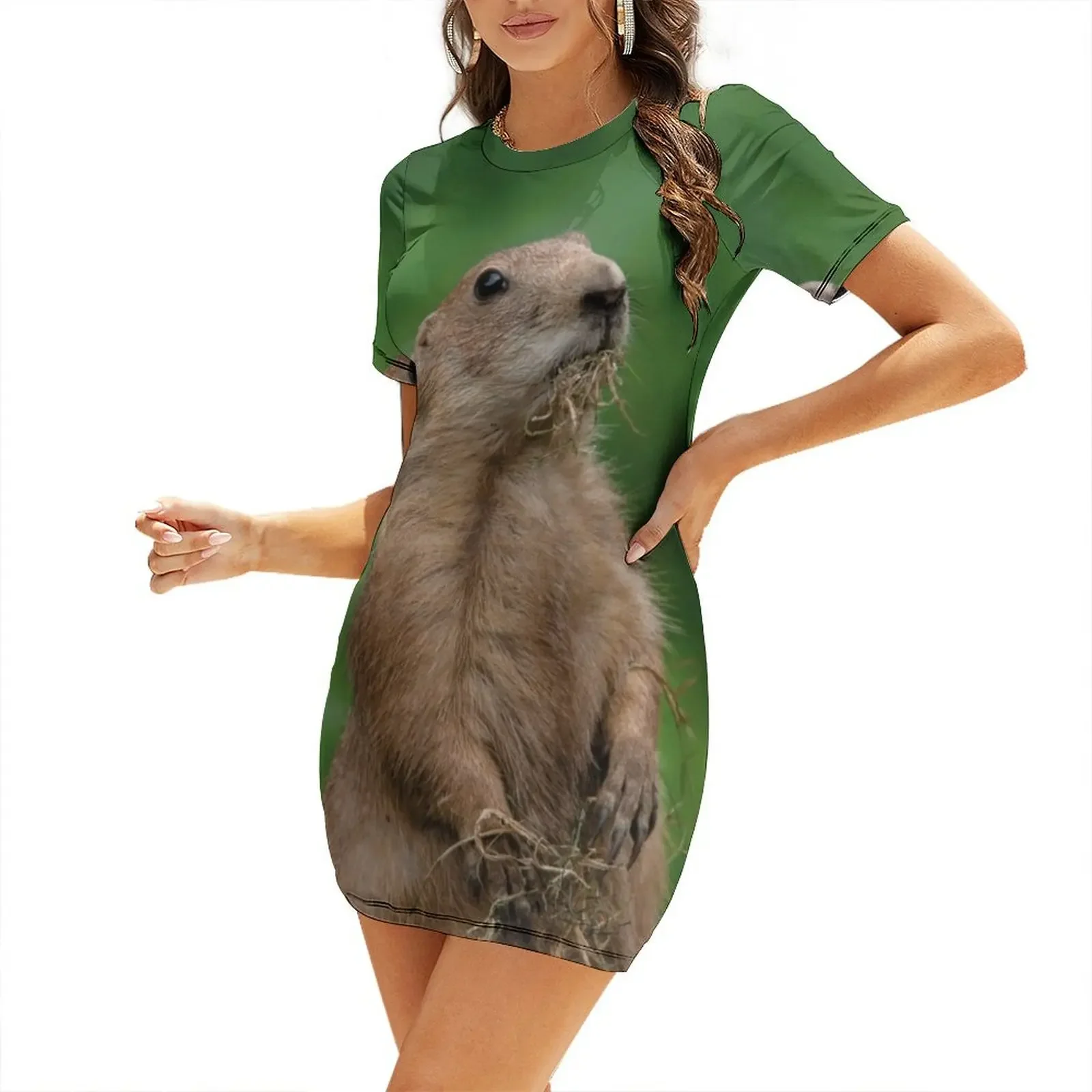 

I Didn't Dig Up The Garden Short-Sleeved Dress dresses for women 2026 Dress for girls women's summer dress 2026