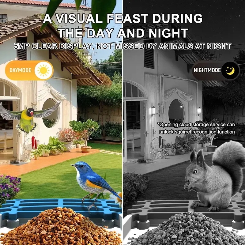Solar Powered AI Bird Feeder Camera, 10000 + Species, Video Recording, Works with Alexa Google Home, Nature Gift, 5MP HD