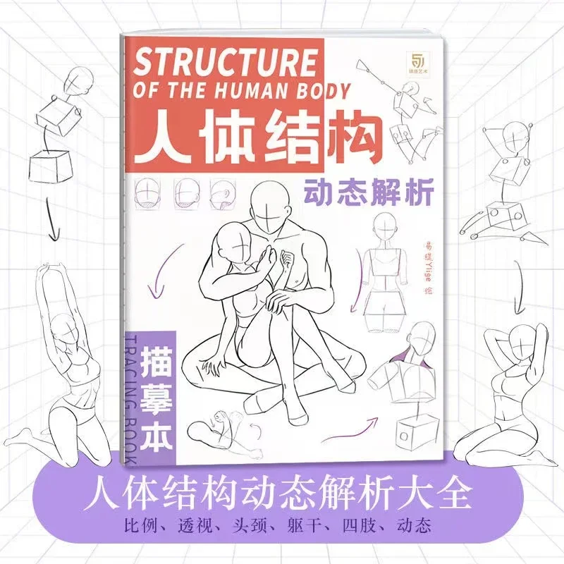 Anime Characters Tracing Sketch Hand Painted Tutorial Book Structure Of The Human Body Copy Practice Line Draft Practice Books