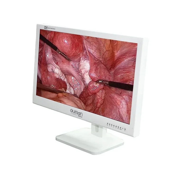 

24 inch medical grade endoscopic HD led to Brazil