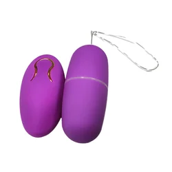 Waterproof 20 Speeds Wireless Remote Control Vibrating Eggs Vibrator Sex Toys for Woman Clitoris Stimulator Sex Massage TK-ing