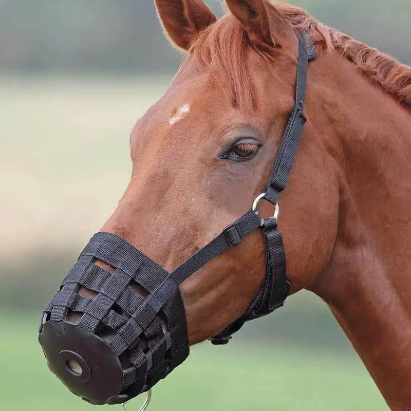Baslong Horse Mouth Cover Adjustable Anti-Grazing Mouth Cover Rubber and PP Webbing Durable Equestrian Tack Equipment for Horse