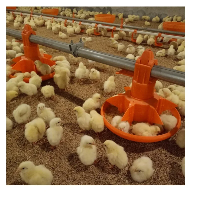 

Automatic Chicken Waterer and Feeder Set Broiler Equipment Breeding Machine Poultry Feeding Pan Cup System