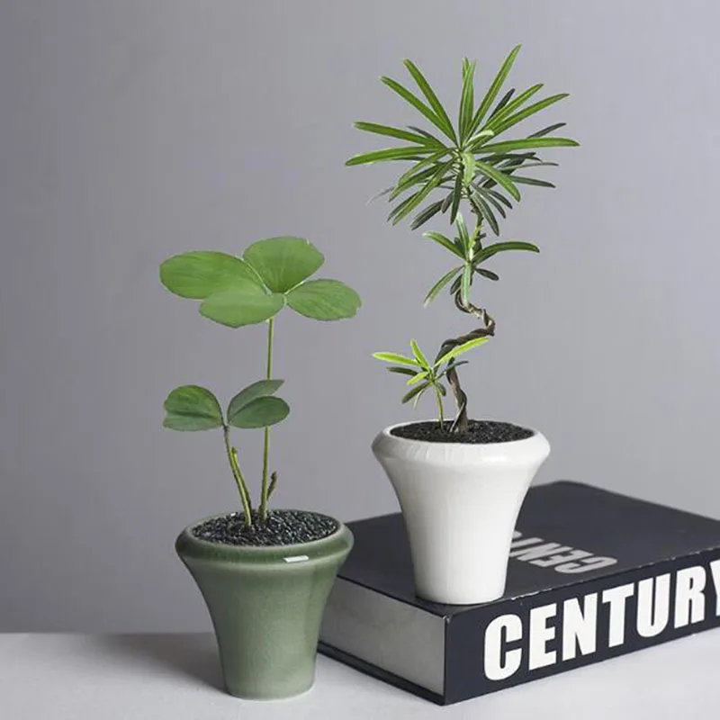 Ice Crack Porcelain Mini Horn Mouth Flowerpot Bamboo Cypress Green Plant Pot Bonsai Vase Desktop Ornaments Home Garden Decor