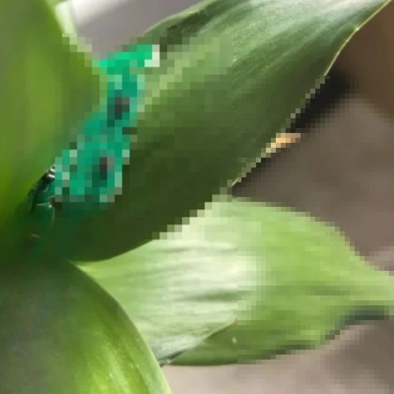 50X For Epson Expre…