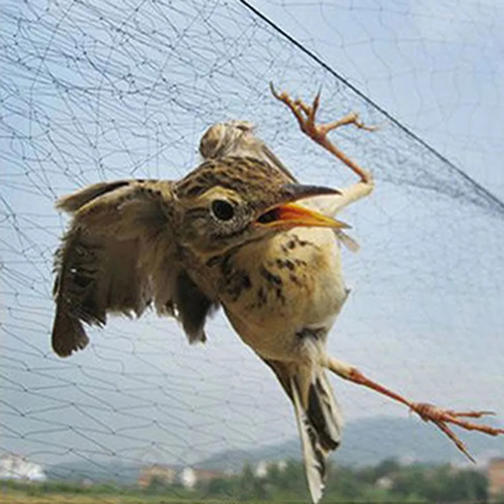 New 6-50m Bird Net Bird-Proof Plastic Nylon Net Traps Crops Protective Fruit Tree Flower Garden Mesh Pest Control Tool