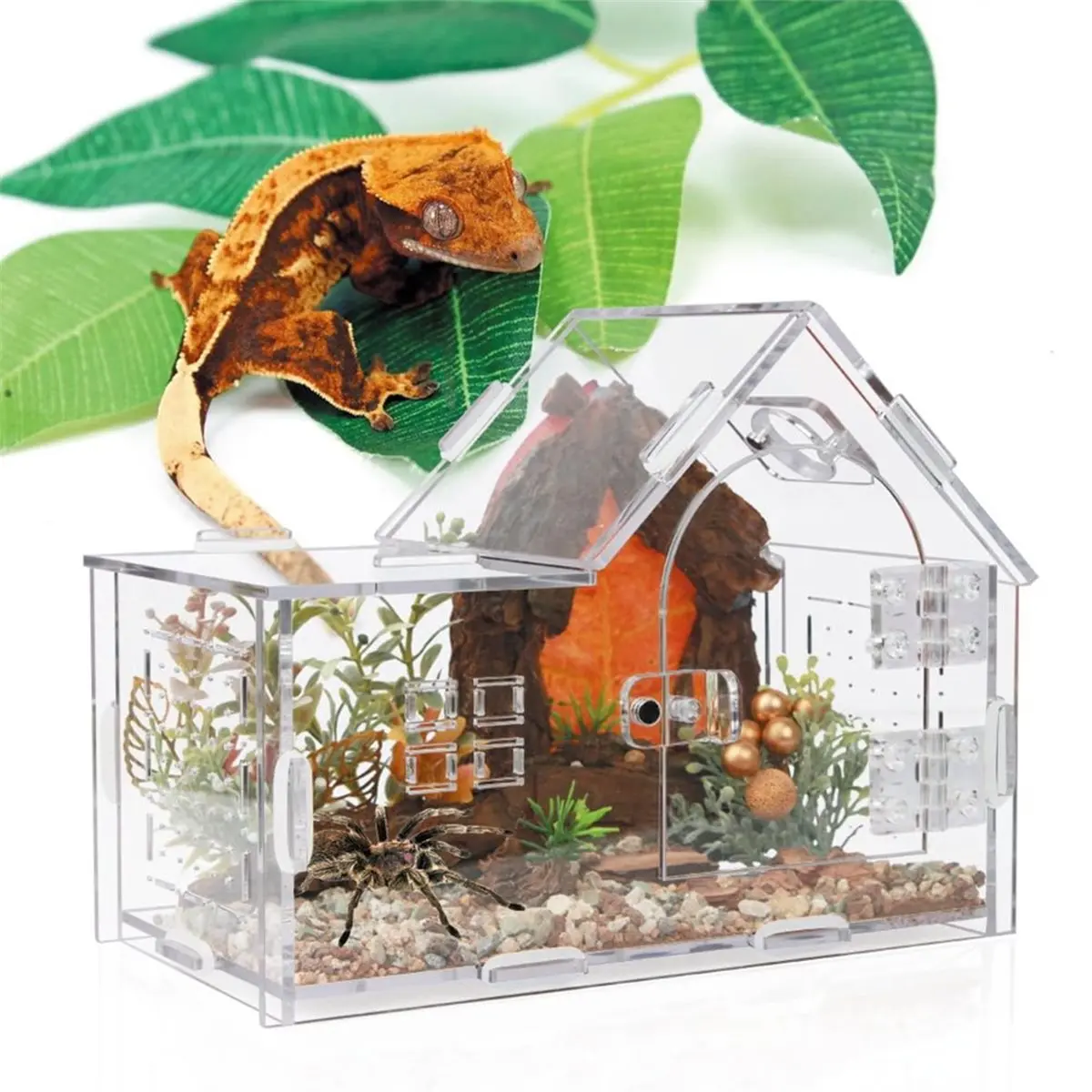 &A11I Acrylic Jumping Spider Enclosure Versatile Reptile Enclosure for Tarantula,Gecko,Chameleon,,,and Hermit Crab