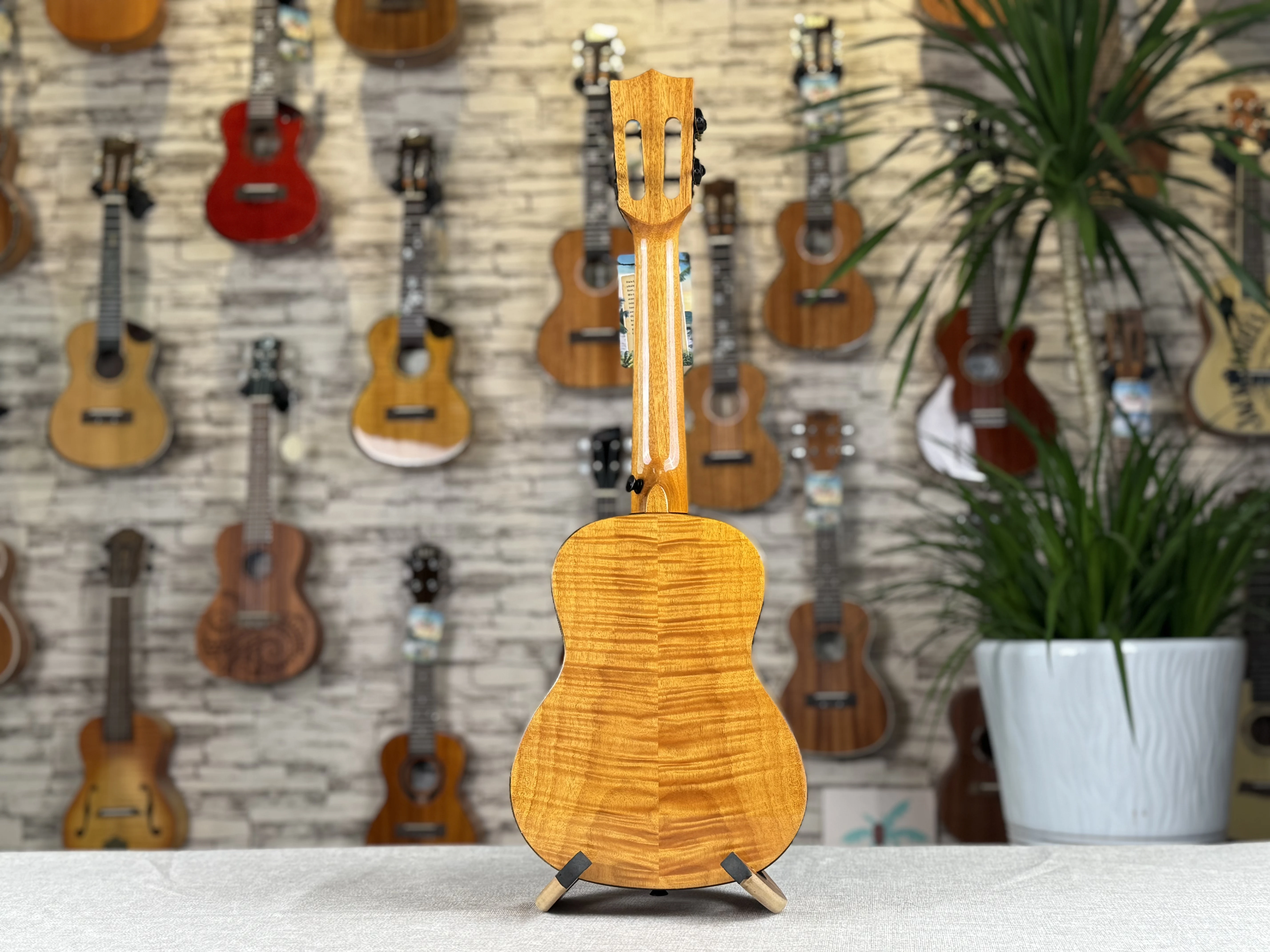 Thumbnail 2 - #3 Ukuleles Discount Picks