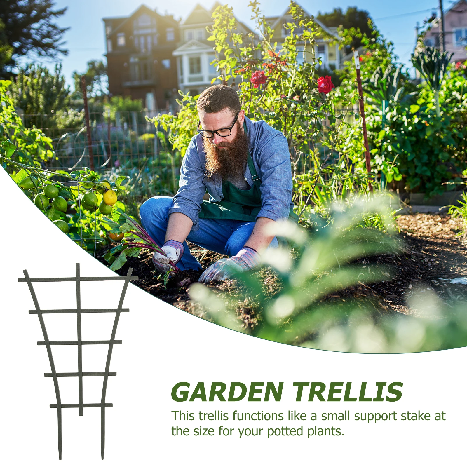 

3pcs Large Plastic Vine Climbing Frame T Shaped Green Plant Support Garden Trellis Vegetable Cage Stand Flowers