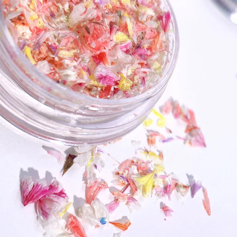 TSZS Nail Art DIY Decorations Japanese Style UV Gel Dried Flower For Nails Art Jewelry Charms Flower Beauty Salon Decos