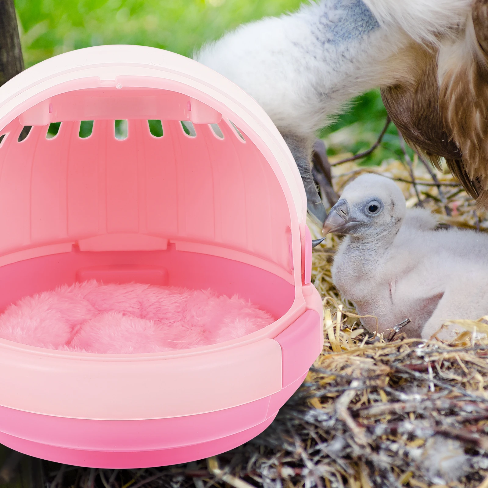 

1 set Premium Handheld Pet Carrier for Parrots Portable Bird Cage Ventilated Durable Birdcage Suitable for Camping