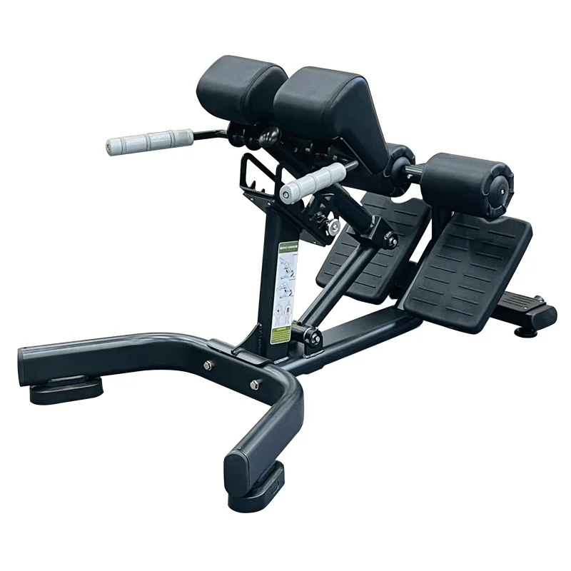 

Commercial Home Gym Equipment Adjustable Metal Roman Chair Bench with Back Stretching Frame for Bodybuilding Goat Lift Training