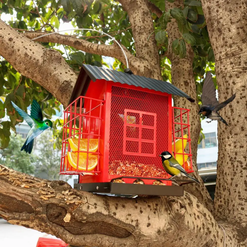 

Universal S S Feeder -saving S Feeder Design Metal Hanging Feeder with Double Suet Cage for Outdoors Capacity Weatherproof