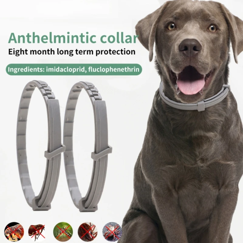 2/1PCS Dog Anti Flea And Ticks Cats Collar Pet 8 Month Protection Retractable Pet Collars Suitable For Puppy Cat Dog Accessories