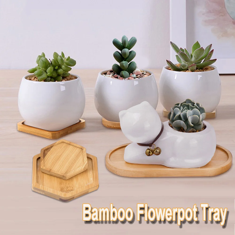 Simple Style Succulents Bonsai Holder Home Decoration Bamboo Wood Tray Hexagon Rectangle Flowerpot Base Round Square