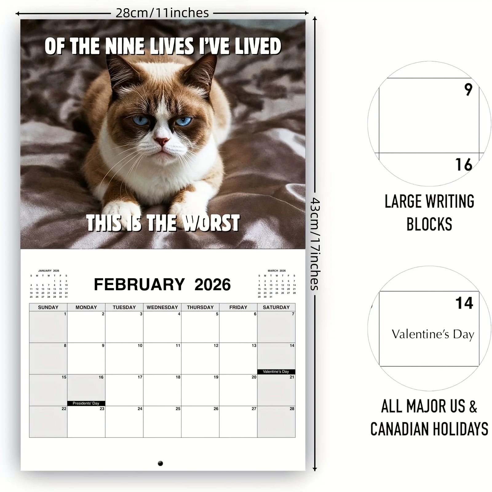 Peed-Off Cat Wall Calendar 2026 Funny Cat Meme Monthly Hanging Format Home Office Decor New Year Gift 12 Monthly Family Planner