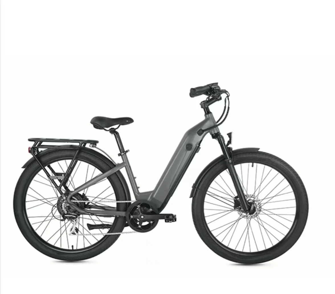 Electric Bike with Disc Break for Adult 48V13A Lithium Battery Electric Bicycle China City Multifunctional Ebike