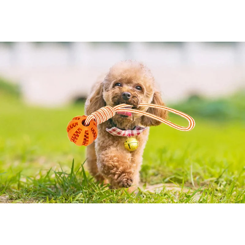 Dog Ball Toy with Rope Interactive Dog Rubber Leaking Balls Toy for Small Large Dogs Chewing Bite Resistant Toys Pet Tooth Clean