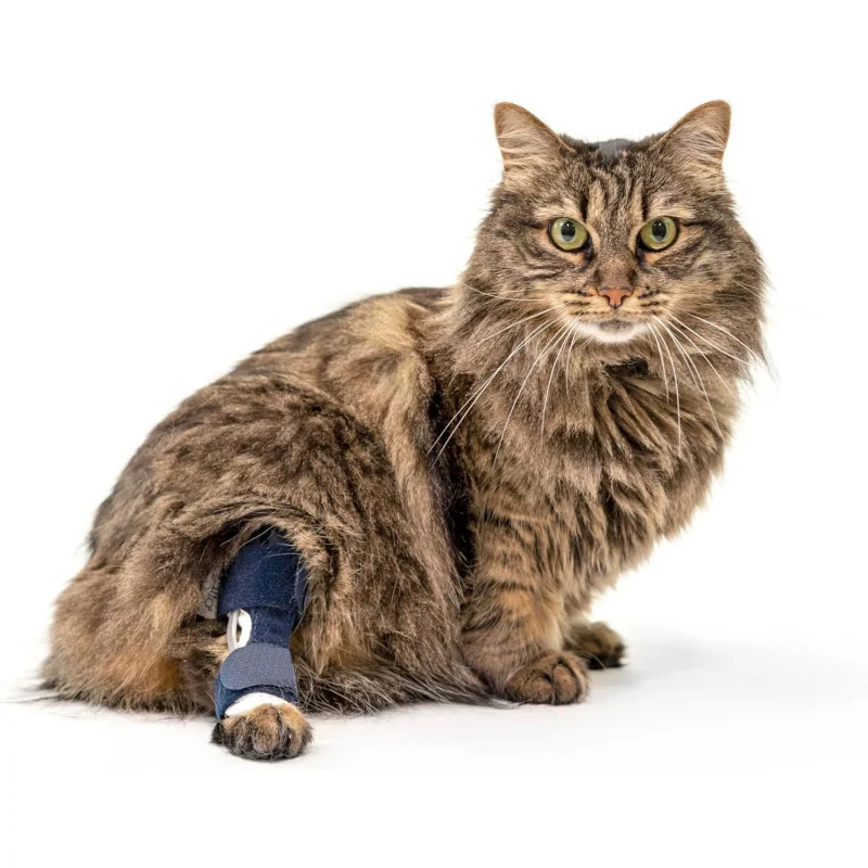 Лидер продаж, защитное снаряжение