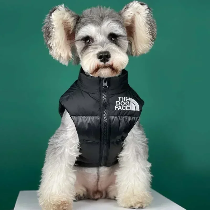 Black Warm Down Vest for Dogs, Big Puppy Jacket, Teddy Schnauzer, Pomeri Corgi Pet, Autumn and Winter