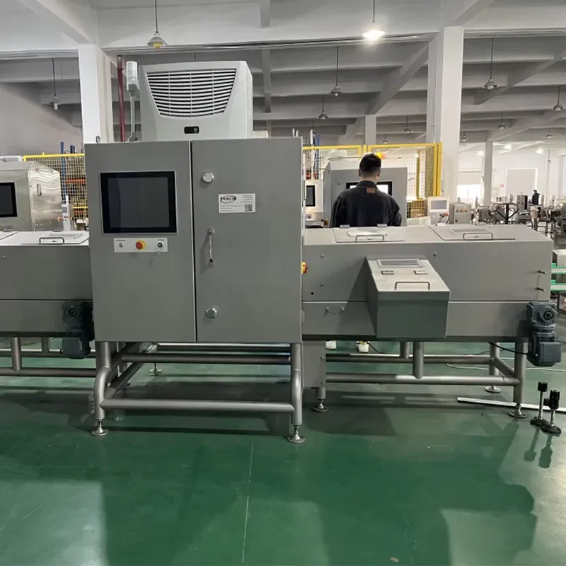 Dual View X-ray Inspection System with Mask Functions Detecting Glass in Glass Bottles Metal in Metal Cans