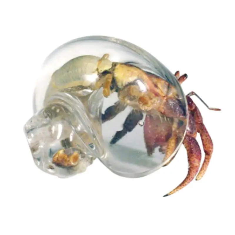 Hermit Crab House Clear Glass Conch Shells For Hermit Crab Fish Tank Ornaments Spiral Shells Art Hermit Crab Supplies Decor