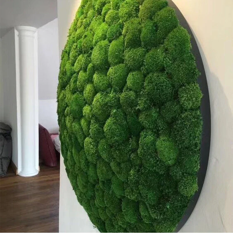 

Artificial Green Plant Eternal Bryophyte Home Decoration Wall Garden Micro Landscape Accessories DIY mini Flower Decoration