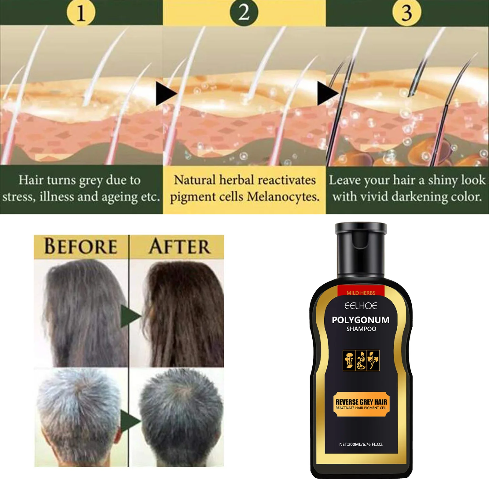 

Polygonum Multiflorum Shampoo Black Hair Care Cleansing Moisturizing Scalp Nourishing and Softening Shampoo