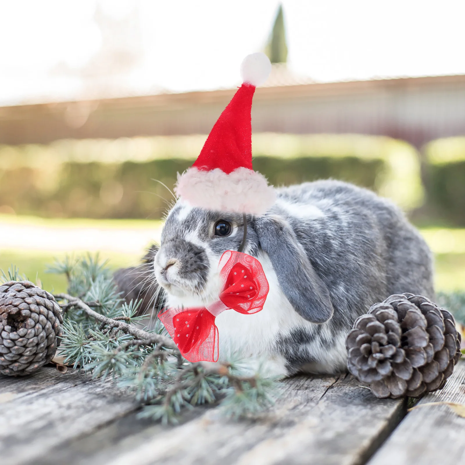 

1Set Xmas Pet Accessories Small Animals Costume Hat Scarf Bow Tie Durable Comfortable Festive Holiday Decor Pet Hedgehog Scarfs