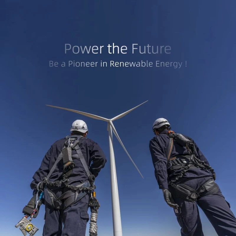 Join Our Global Dealer Network OEM ODM Wind Turbine Generators  Can Get Bulk Discounts