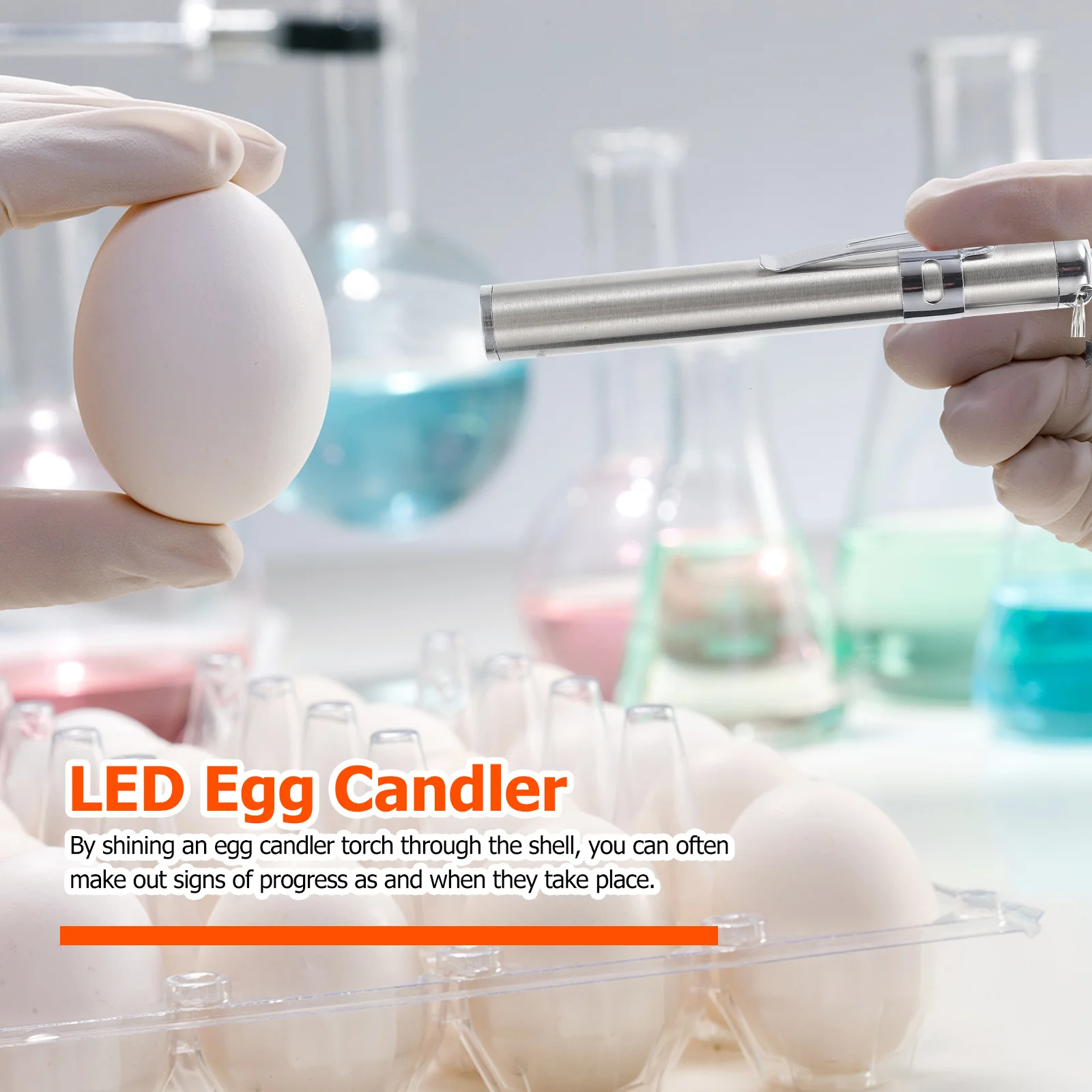 

Candler Silver Lightweight Torch For Incubation Chick Candling Lamp Fertilized Egg Checker Incubation Candling Lamp Egg