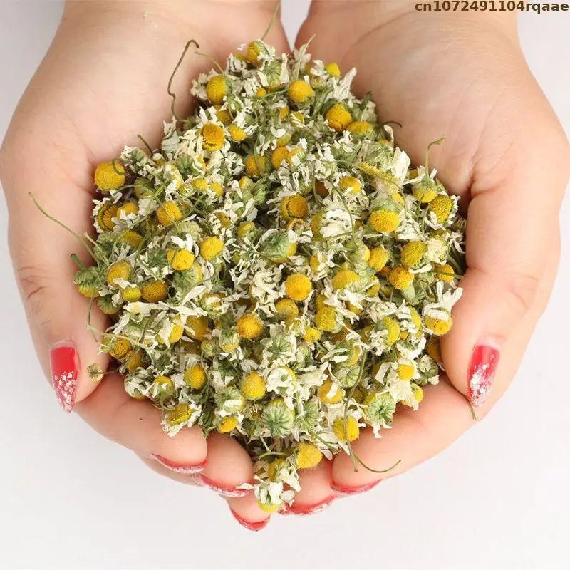 100% Natural Dried Chamomile Dried Flowers For Pillow Filling Wedding Decoration Diy Resin Mix Flower Sachet Soap Candle Making