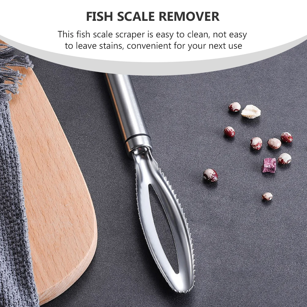

4 Pcs Fish Scales Fishing Remover Stainless Steel Cleaner Tool Cleaning Tools Scraper