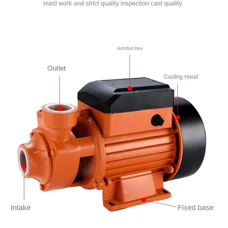 Water Pump 220V Peripheral Pump Centrifugal Pumps Booster 32m Discharge Lift