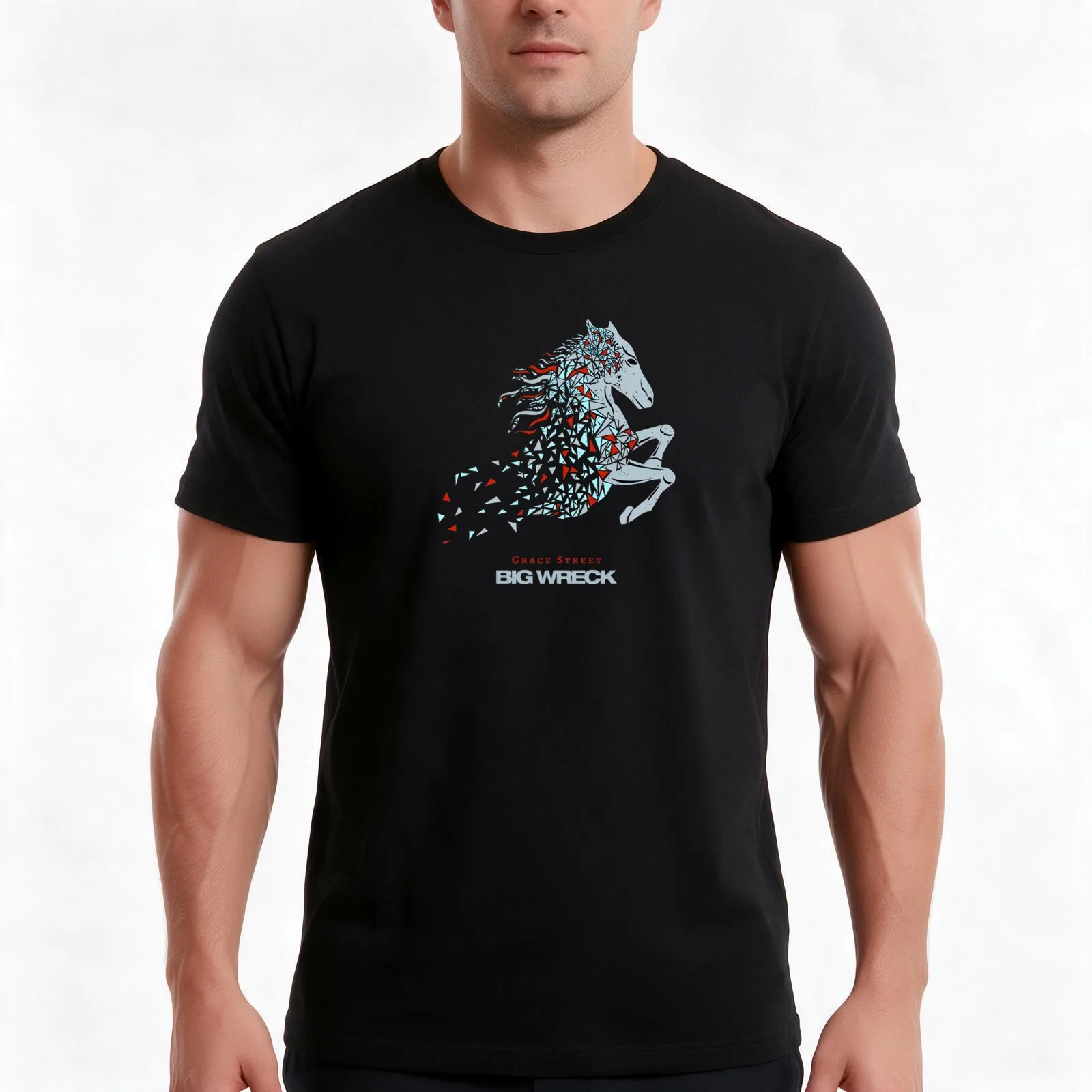 Best of logo Big Wreck is a Canadian-American rock band T-Shirt, Summer Casual Cotton Tee, Oversized Streetwear Tops