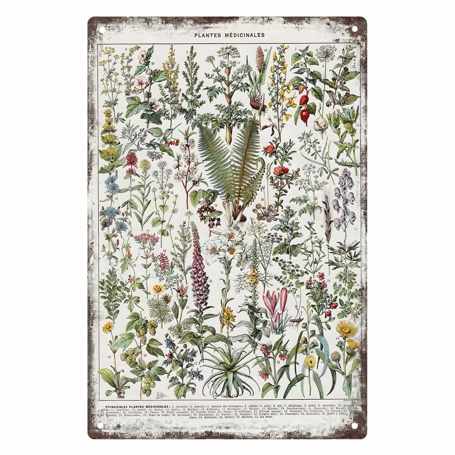 2D FLAT 1pc Vintage Medicinal Plants Botanical Wall Poster Decoration for Home Office Living Room Bedroom Classroom And Study
