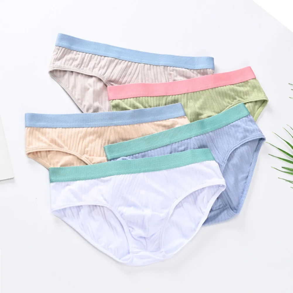Comfortable Daily Men 95% Cotton Panties Middle Waist Soft Breathable Pouch Underwear Triangle Underpants Briefs