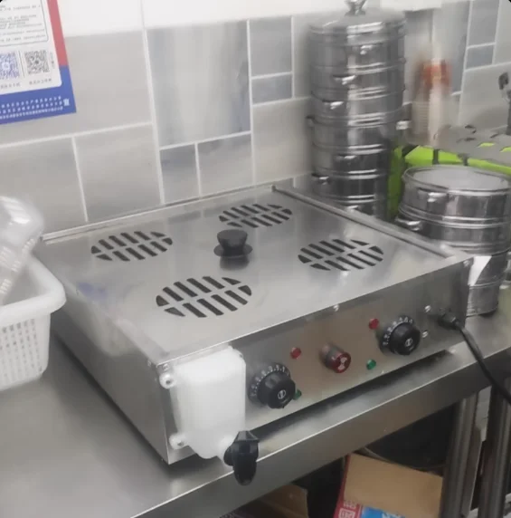 220V Electric Steamer for Home and Commercial Use, Perfect for Steaming Buns, Dumplings and More  AE