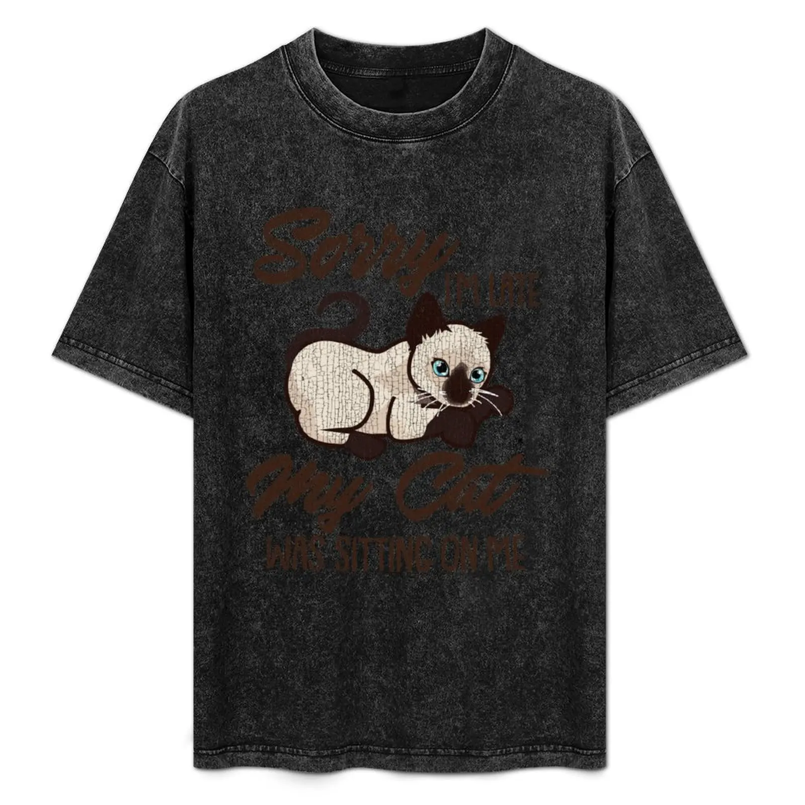 

Sorry I'm Late My Cat Was Sitting On Me T-Shirt Plus Size Loose Short Sleeve Top
