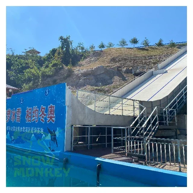 Learn To Ski or Snowboard on Dry Slope Artifical  Dry Ski Mat