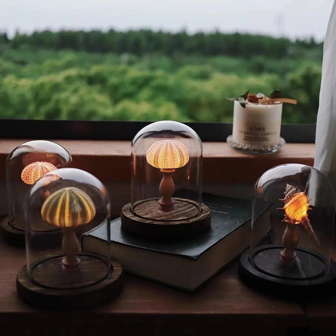 Minimalist Retro Indoor Room Shell Sea Small Night Light Ornament Handmade DIY Material Package Creative gift Urchin Conch Lamp