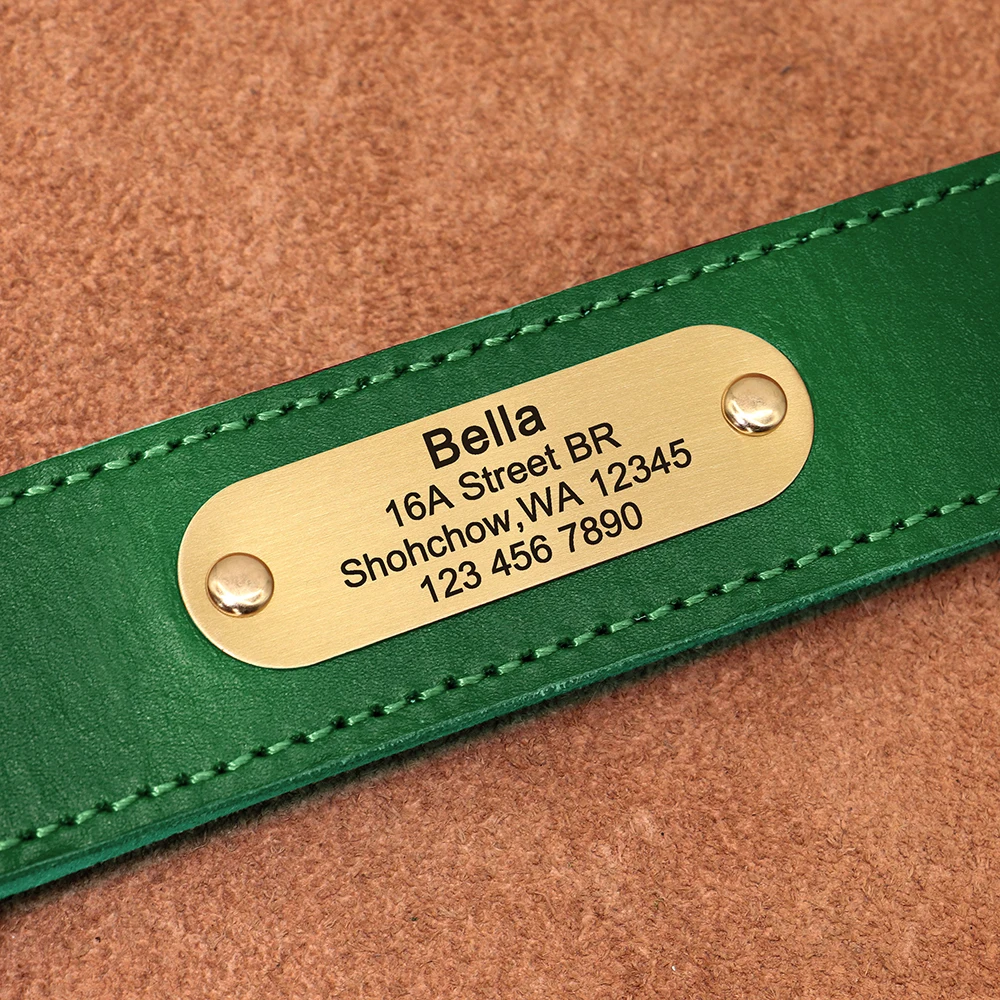 Personalisierte Hundehalsband-Leine aus echtem Leder, langlebige Hundehalsbänder, Gehbleine, Seil, frei mit Gravur für kleine, mittelgroße und große Hunde – Detail 16