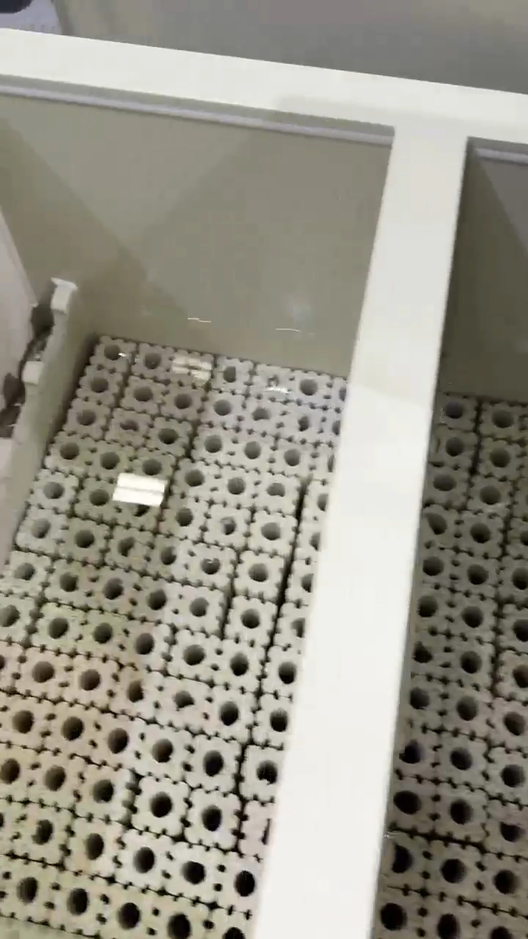 Factory Price Aquarium Fish ta - огляд і ціна Aquarium Fish And Price