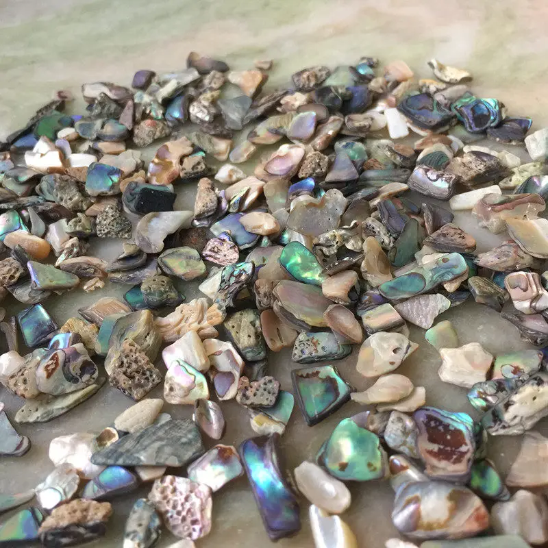 100g Natural Abalone Shell Chips Mother of Pearl Fragments DIY Lacquer Painting Handicraft Ornament Making Accessories