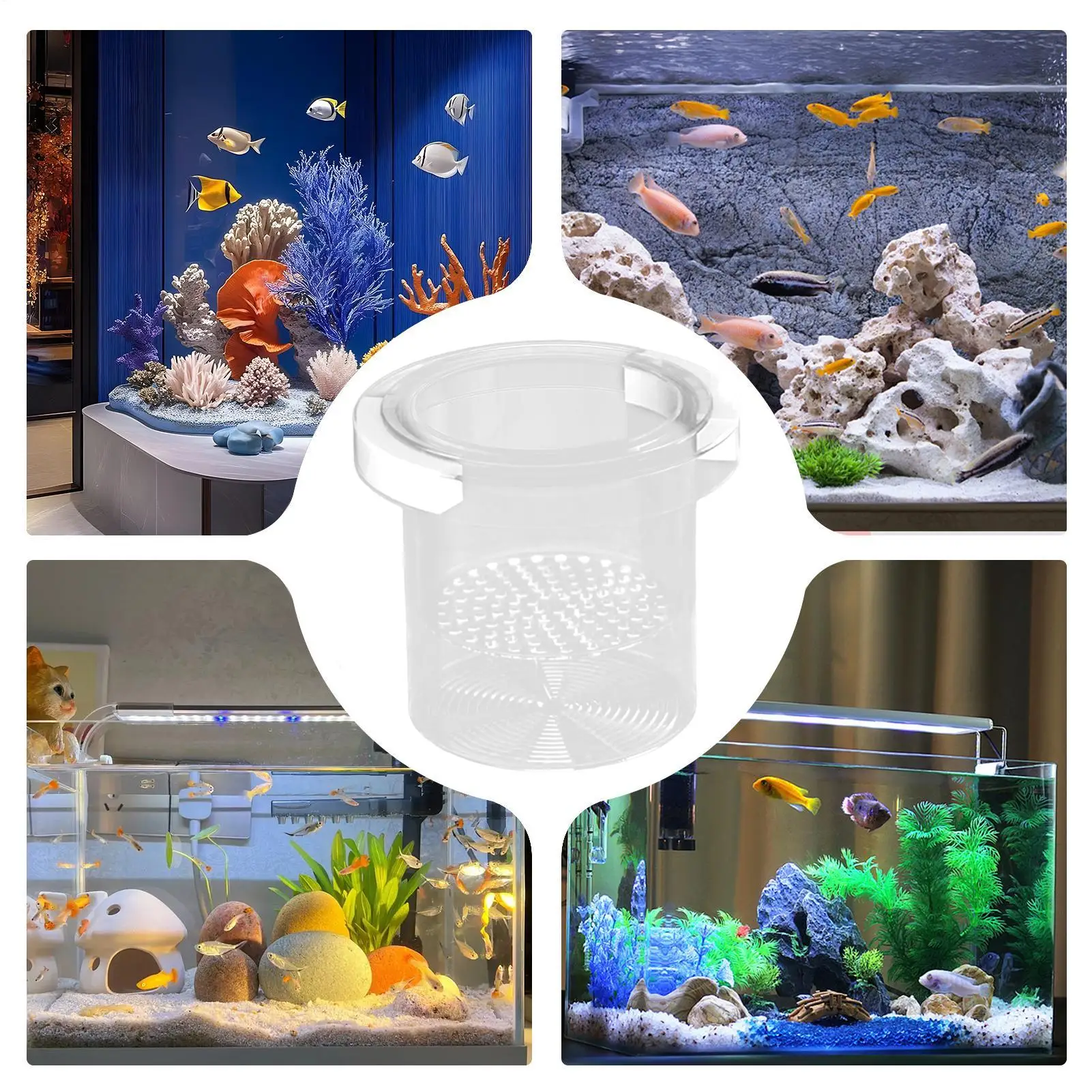 Fish Breeder Box Fish Breeder Box for Aquarium Nursery Feeding Container Hatchery Incubator Divider for Betta Egg Fry Guppy