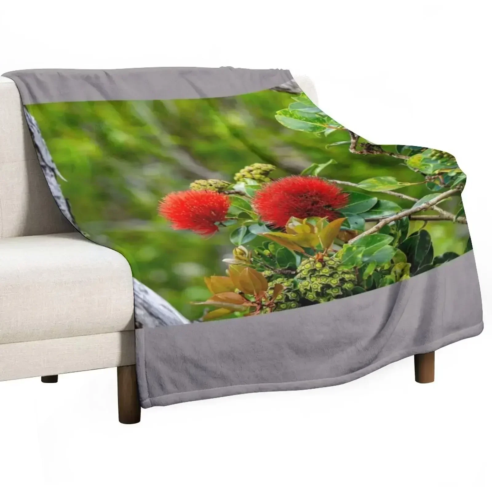 Lehua Twice Throw Blanket Weighted anime Shaggy decorative Blankets For Bed Single Blankets