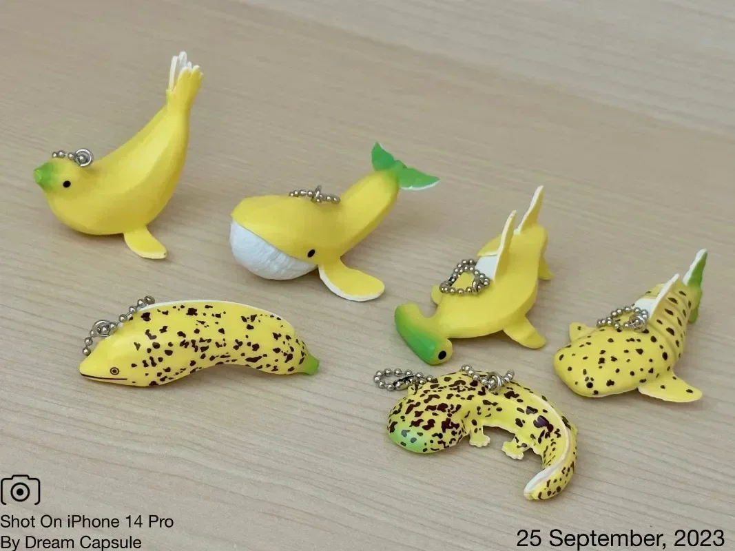 Qualia Original Kawaii Gashapon Figure Anime Blue Whale Shark Banana Animal Figurine Capsule Toys portachiavi Gift