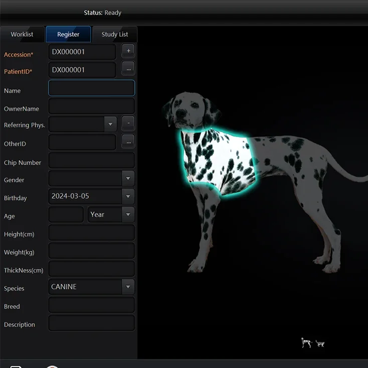 Veterinary X Ray Machine Vet Clinics spitable Use X Ray Machine Software With Flat Panel Detector