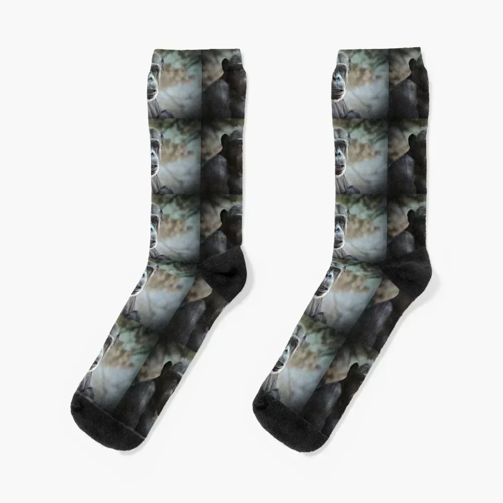 

Chimp portrait Socks Children's tennis retro Novelties Man Socks Women's