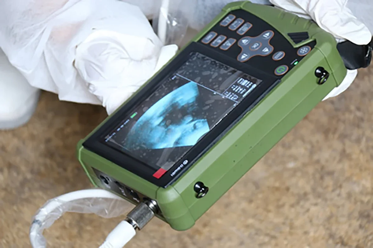 Wh-57 Veterinary Ultrasound For Animal Ecografo Portatil Portable Wireless Ultrasound Machine Price